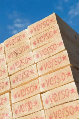 芬兰维森木业高层到访融汇高端，深化合作共探木材销售新机遇