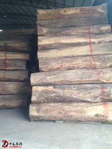 中印木材贸易新焦点 解读“新贵红木”阔叶黄檀的投资价值与市场前景