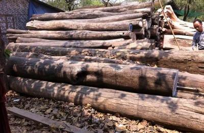 法国木材行业 经济复苏趋势下的销售新机遇